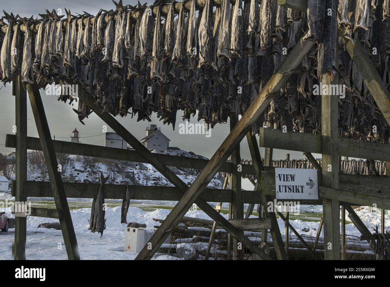 Drying racks stockfish hi-res stock photography and images - Alamy