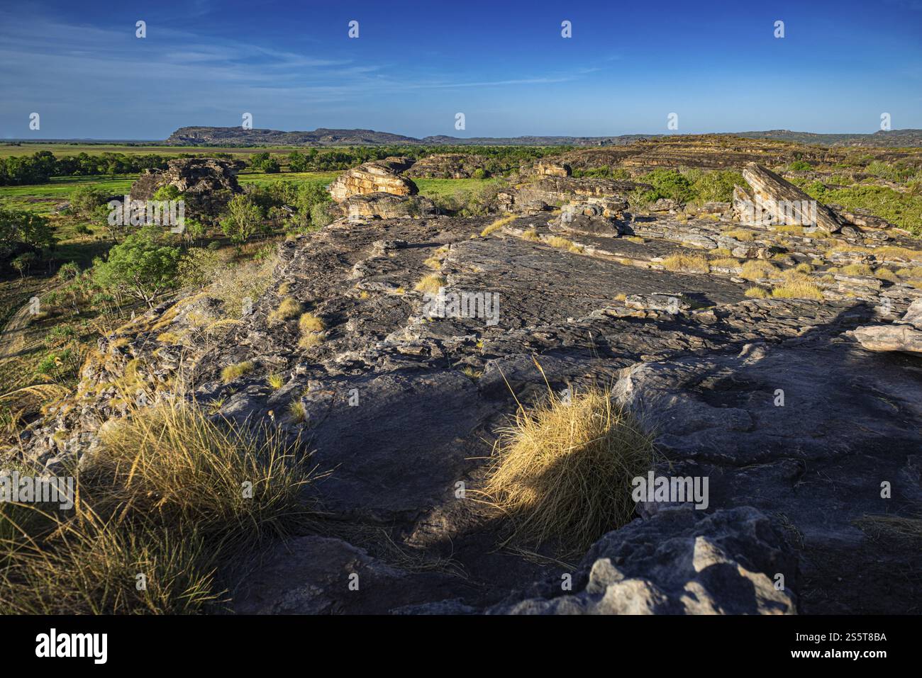 View of the Nadab Floodplains from Nadab Lookout, Ubirr, Kakadu National Park, East Alligator Region, Northern Territory, Australia, Oceania Stock Photo