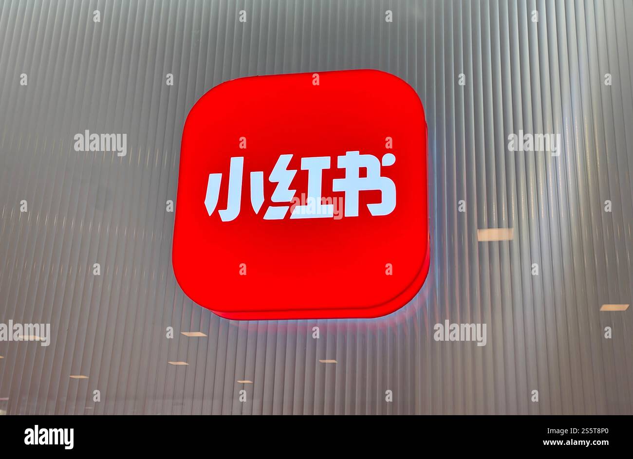 SHANGHAI, CHINA - JANUARY 14, 2025 - Photo taken on January 14, 2025 ...