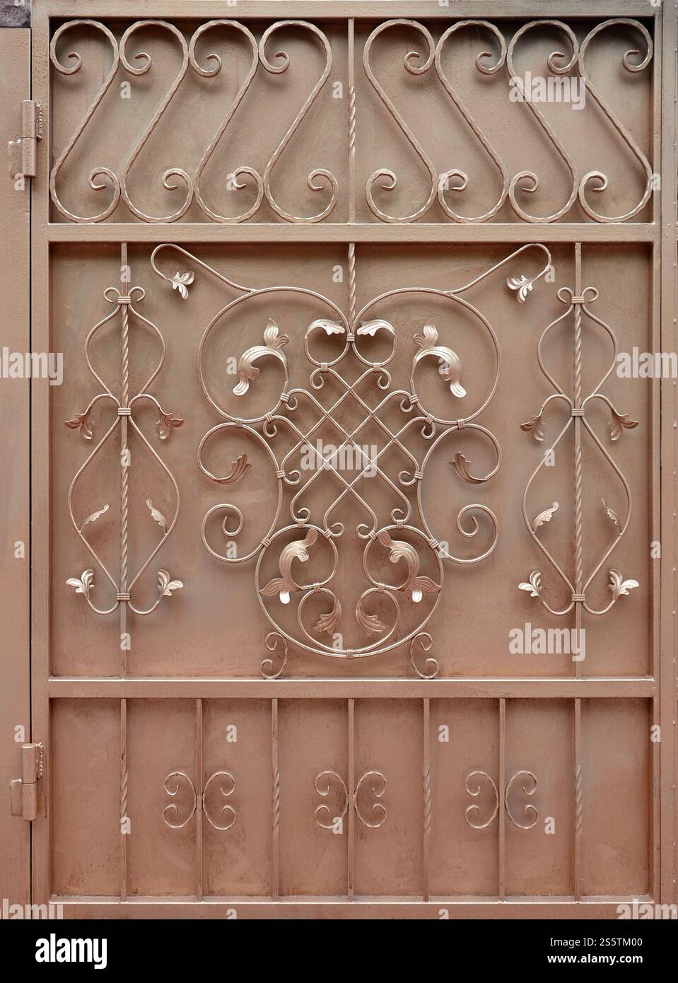 The texture of the bronze metal gate with a beautiful floral pattern of forged metal Stock Photo