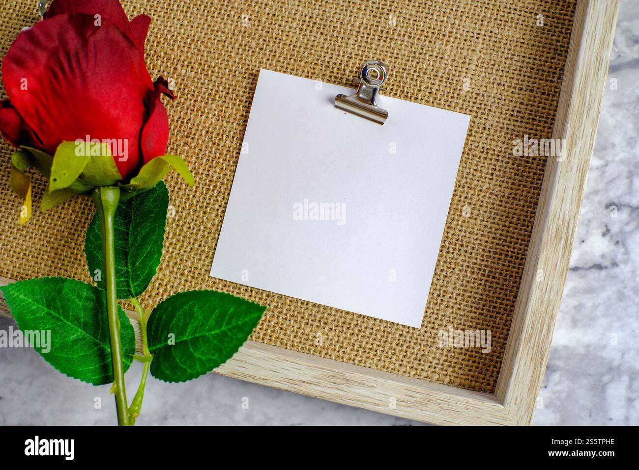 Valentines day background. Red rose with message card of Love romantic ...