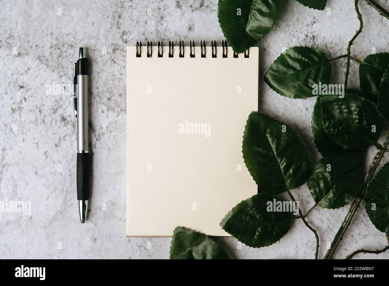 Pen and leaf is placed hi-res stock photography and images - Alamy