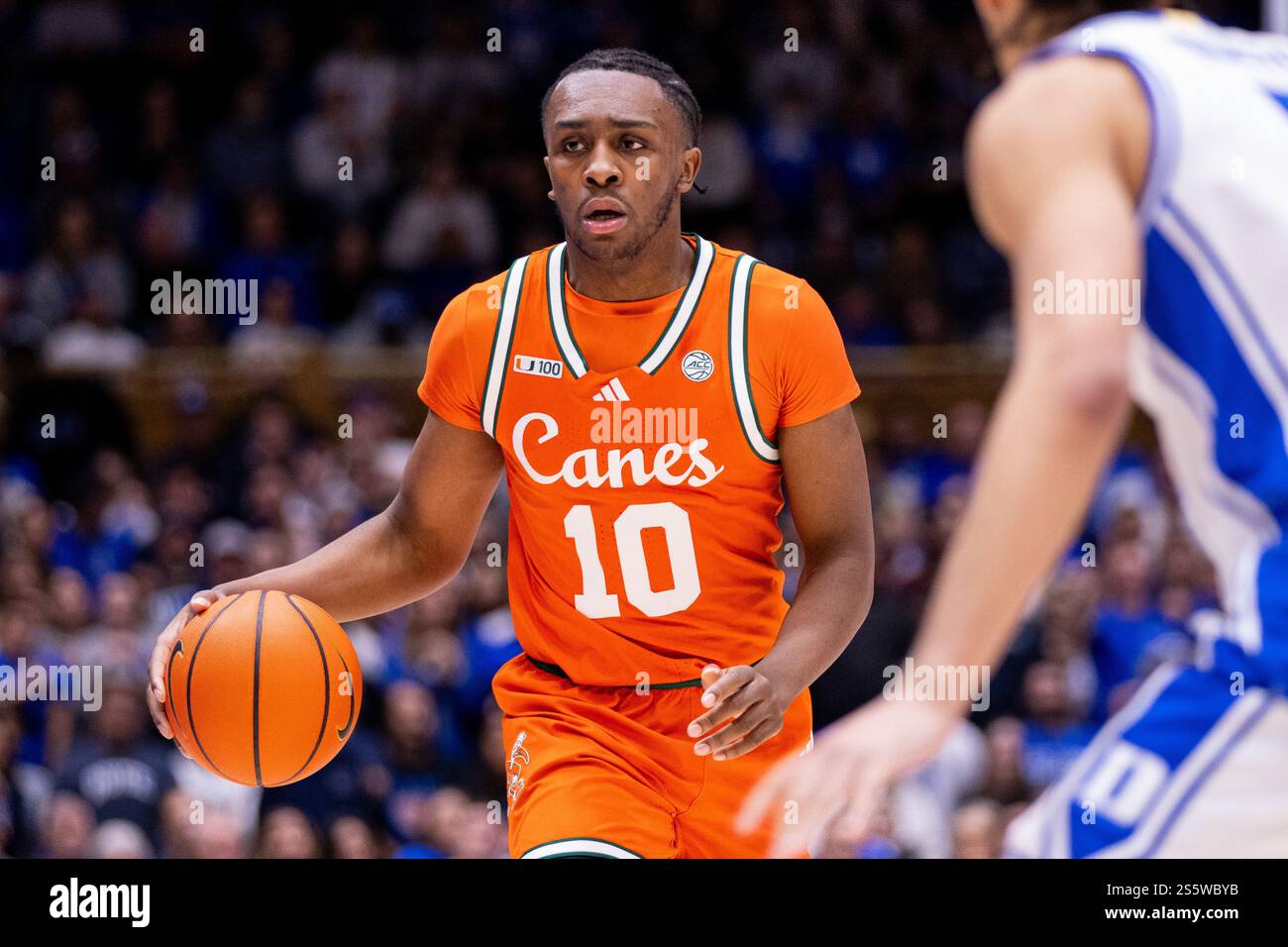 Durham Nc Bull Durham | TikTok, image size:1300x956