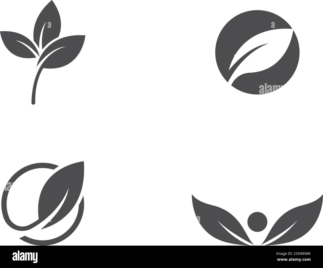 Leaf logo vector template Stock Vector Image & Art - Alamy