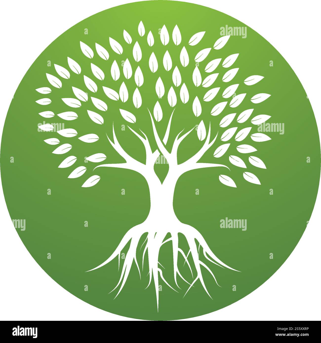 Tree logo template vector illustration Stock Vector Image & Art - Alamy