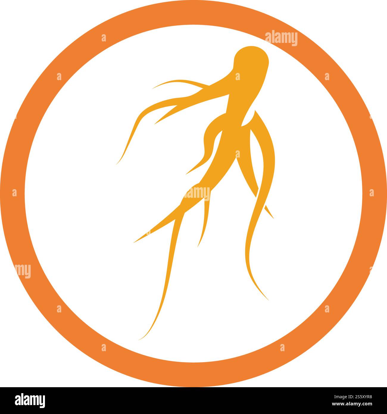 ginseng logo vector template design Stock Vector