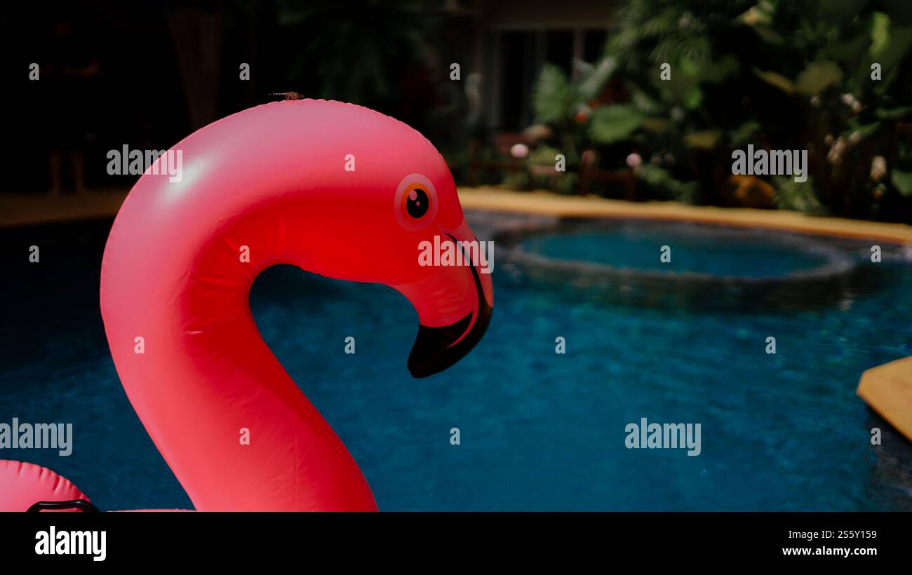 Summer vacation fun funny Pink Flamingo float in a swimming pool trendy Flamingo on a blue summer concept Stock Photo