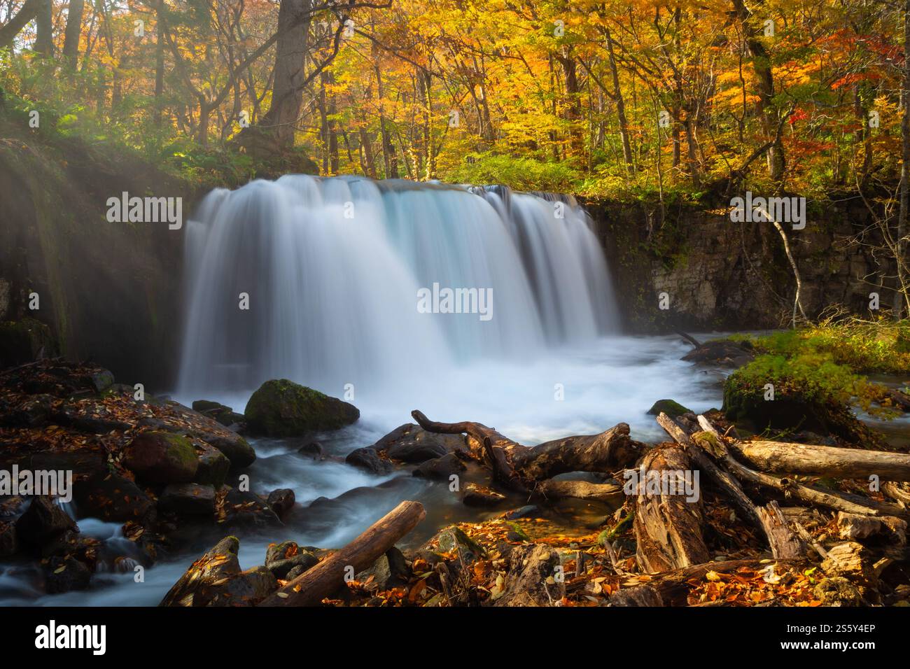 The beauty of Choshi Otaki Falls, part of the Oirase Stream, not far from Lake Towada in autumn, Aomori City, Tohoku Region, Japan Stock Photo