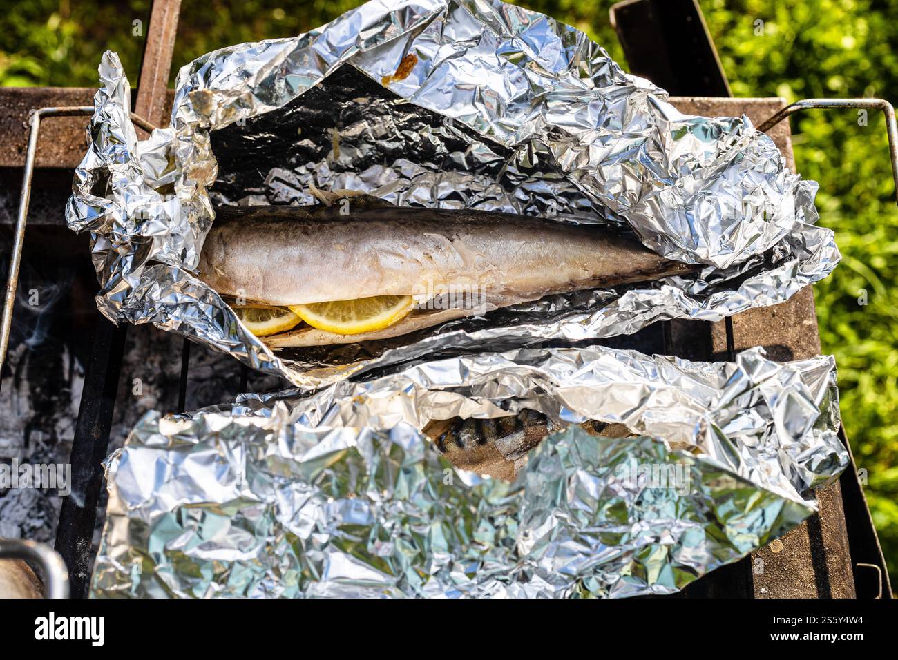 fish baked with lemon in foil on outdoor charcoal grill close up on ...