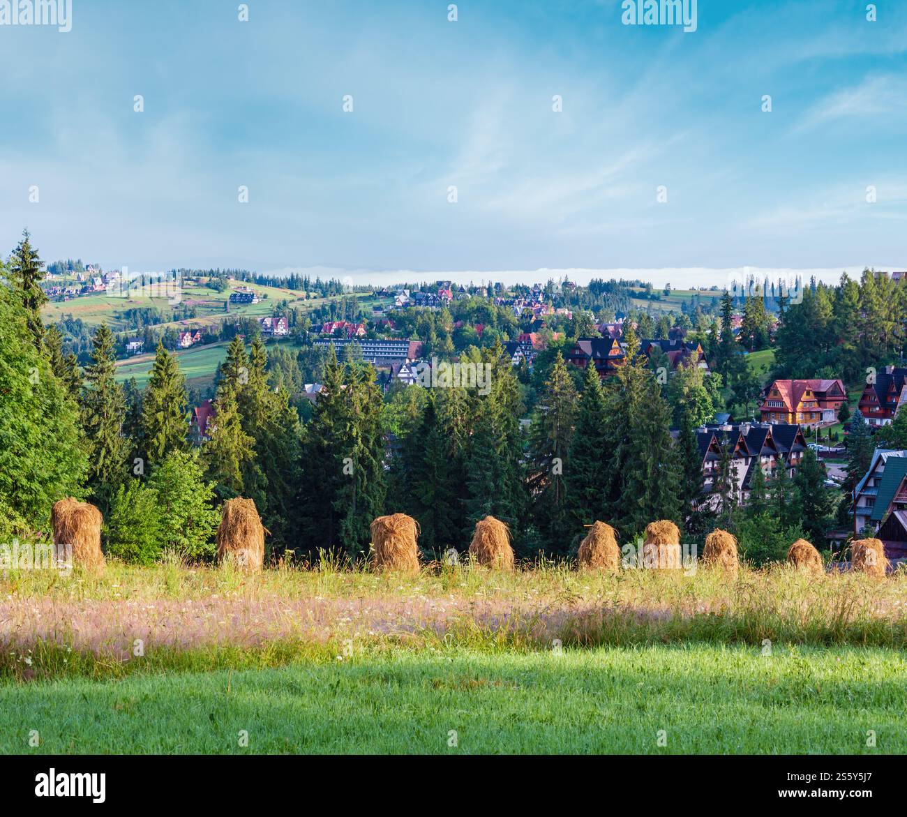 Summer mountain village outskirts with haystacks (Poland) Stock Photo
