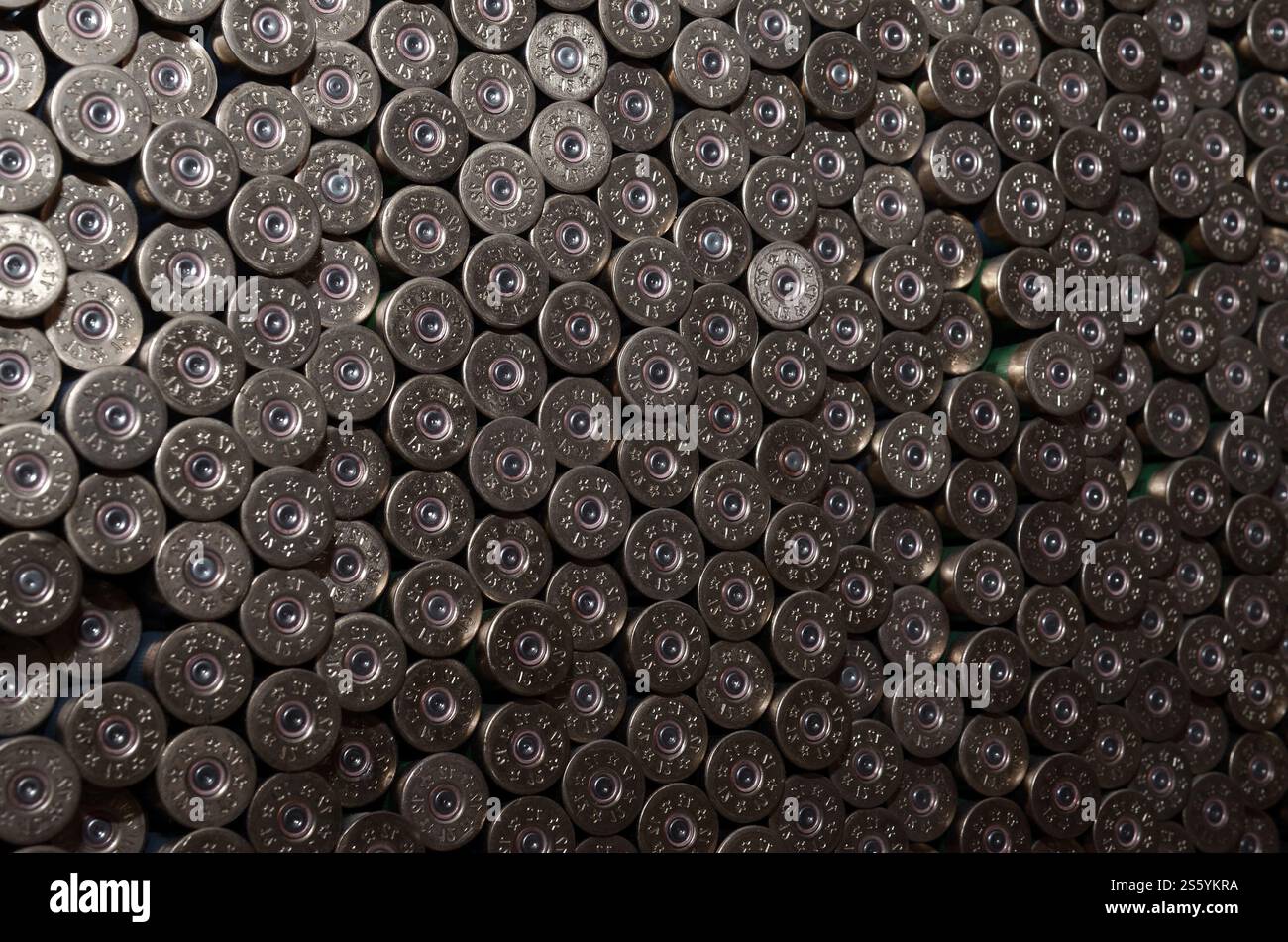 Pattern of 12 gauge cartridges for shotgun bullets. Shells for hunting ...