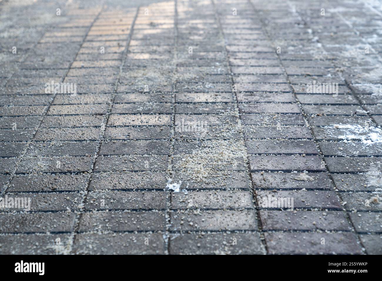 Deicing chemicals on pavement in winter. Salt grains on icy sidewalk ...