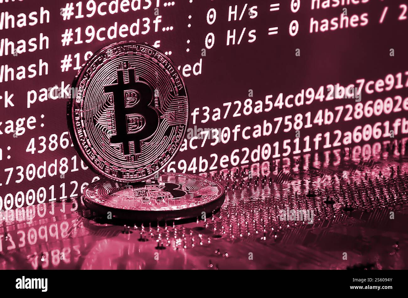 The digital process of cryptocurrency mining by using the GPUs. Bitcoins and video card on a working display and mining screen. Image toned in Viva Stock Photo
