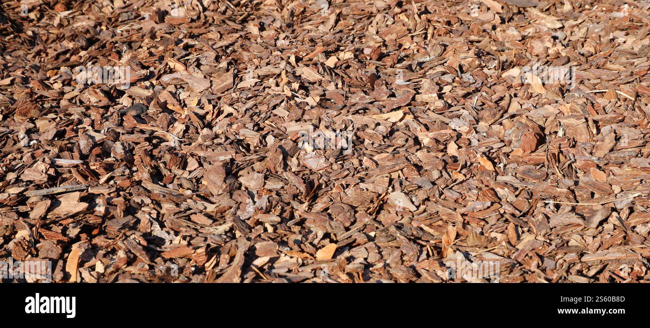 Full frame closeup of brown mulch used for gardening and landscape decoration. Texture of Birch mulch bark for garden. Closeup of wood chip path Stock Photo