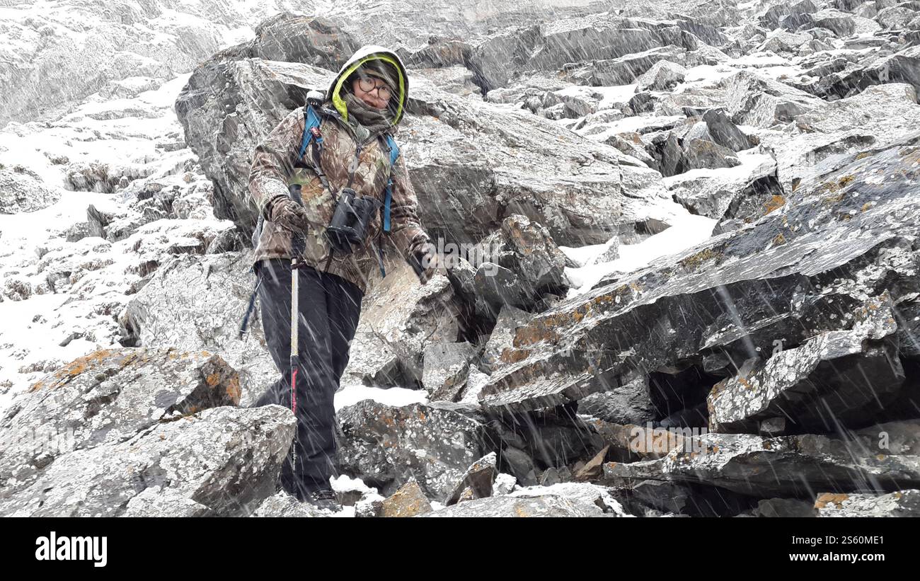 Urumqi. 15th Jan, 2025. Huang Yahui is pictured during a scientific expedition in the Tianshan Mountains in northwest China's Xinjiang Uygur Autonomous Region in 2015. TO GO WITH 'Feature: Chasing butterflies, protecting nature amid Xinjiang's wilderness' Credit: Xinhua/Alamy Live News Stock Photo