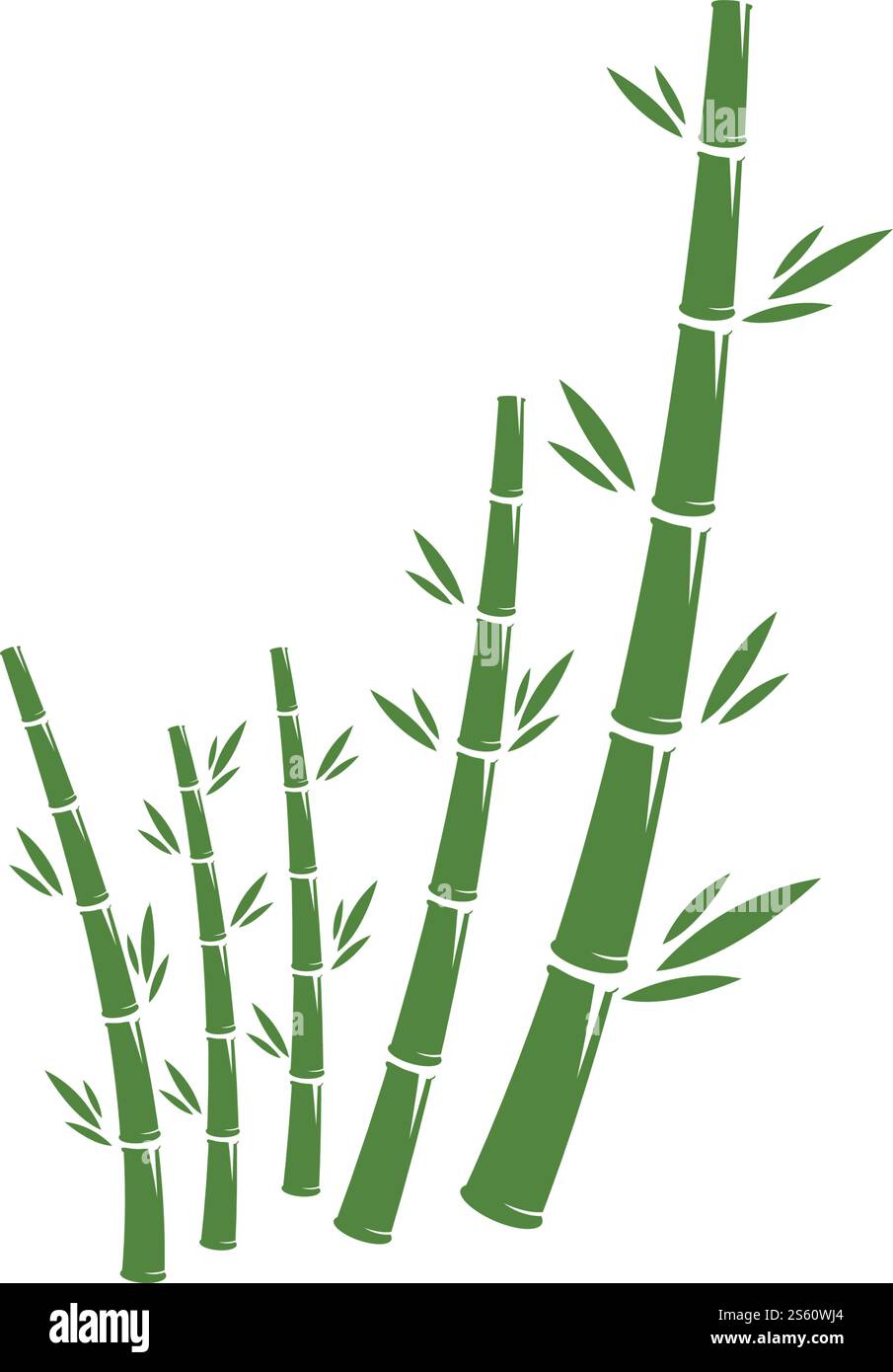 Bamboo logo ilustration vector template Stock Vector
