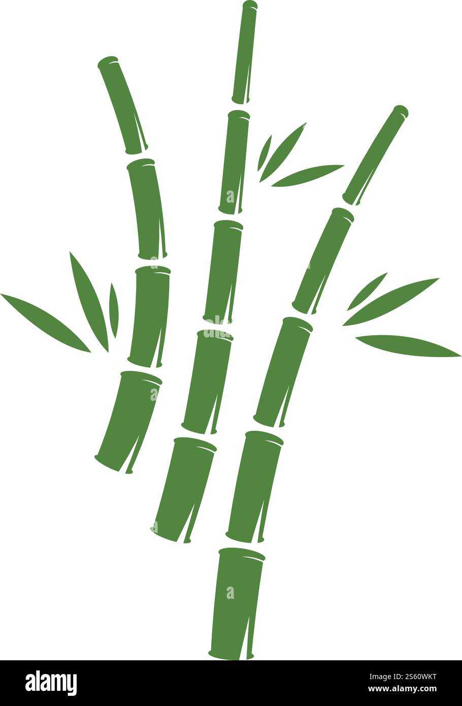 Bamboo logo ilustration vector template Stock Vector