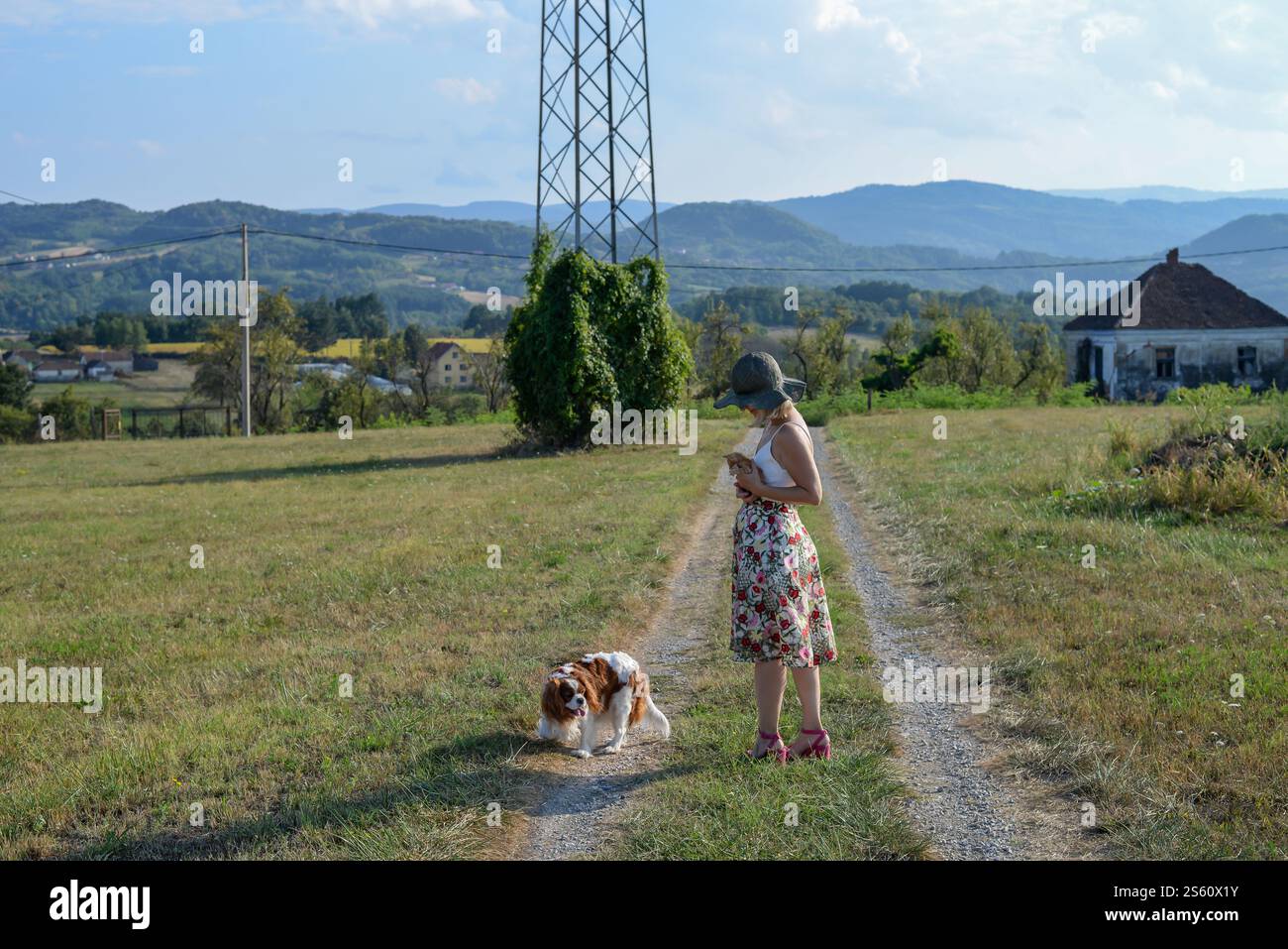 Woman with a dog holds a little yellow kitten on a country road, in summer Stock Photo