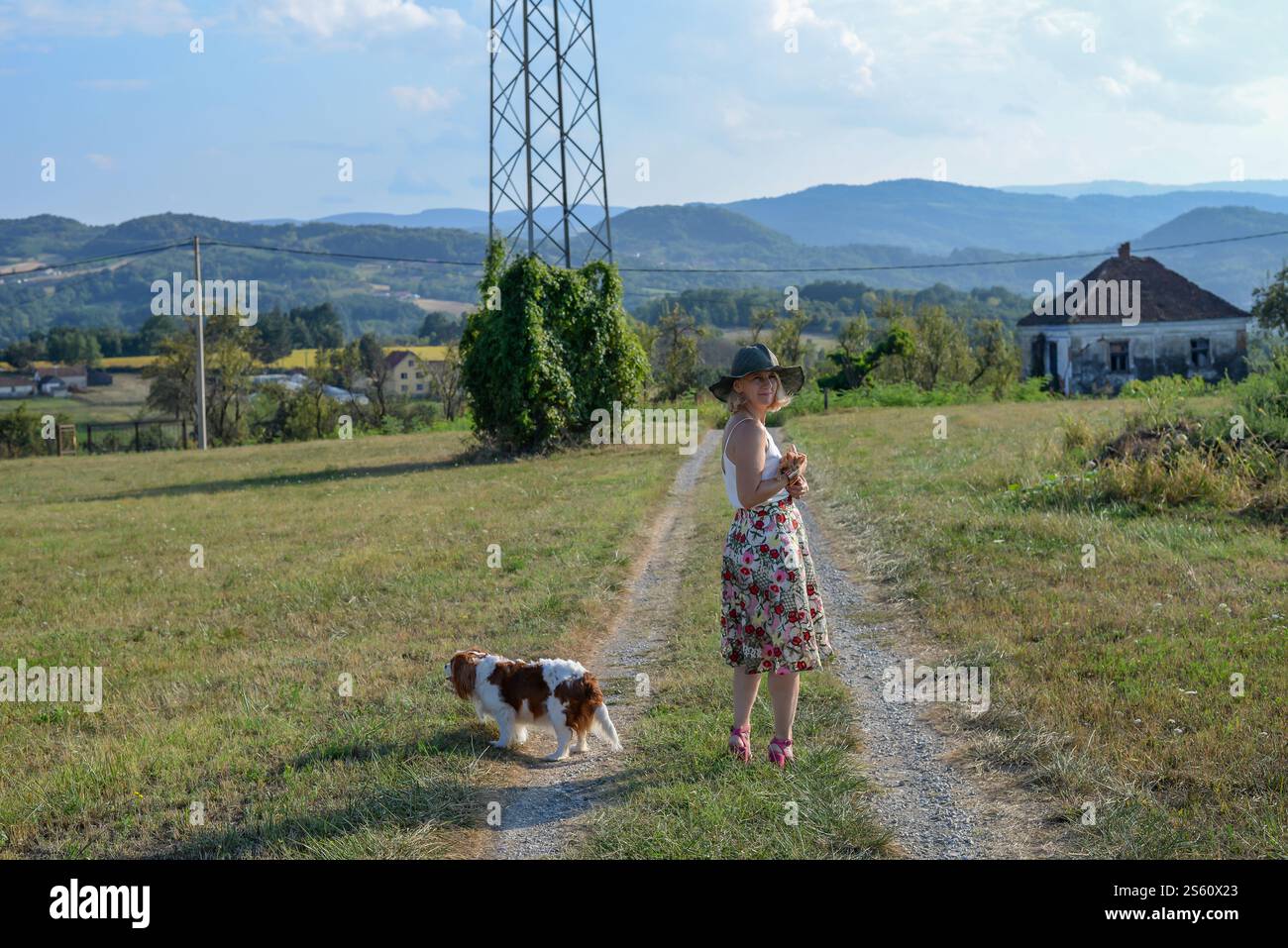 Woman with a dog holds a little yellow kitten on a country road, in summer Stock Photo