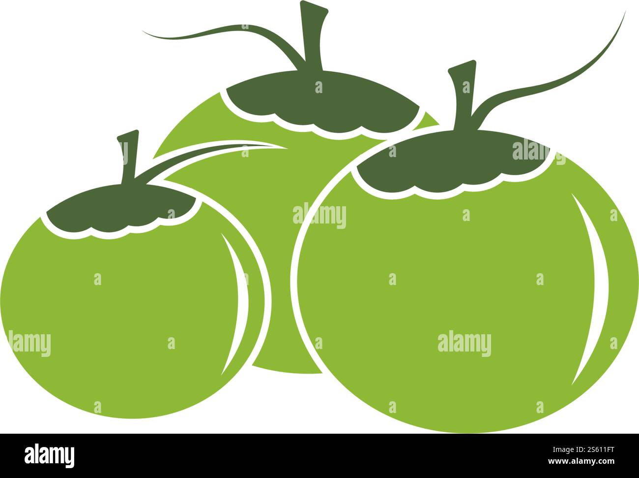 Coconut fruits vector ilustration design Stock Vector