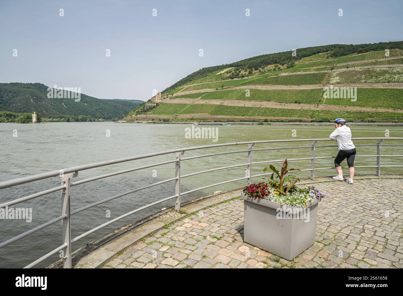 Hure In Der Nahe