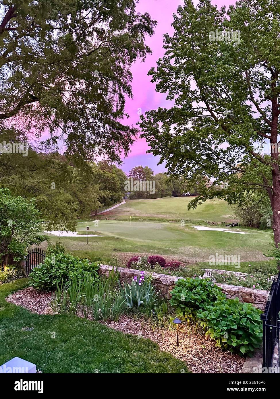 Purple sky over a golf course - Smartphone Captured Stock Image