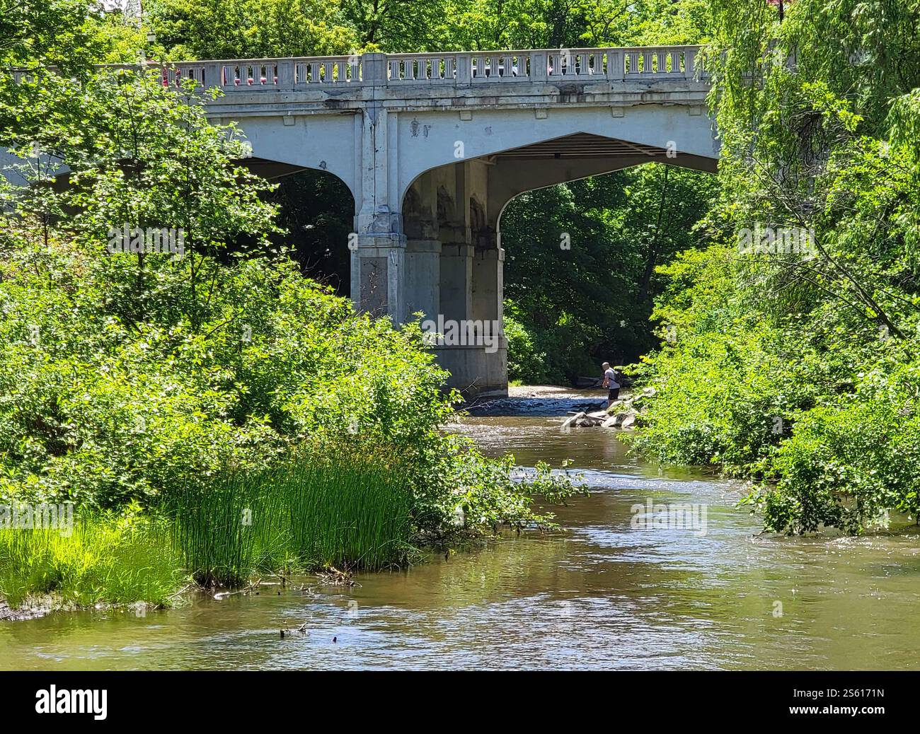 Bear River, Petoskey, Michigan. A man fishes in the river under the bridge. - Smartphone Captured Stock Image