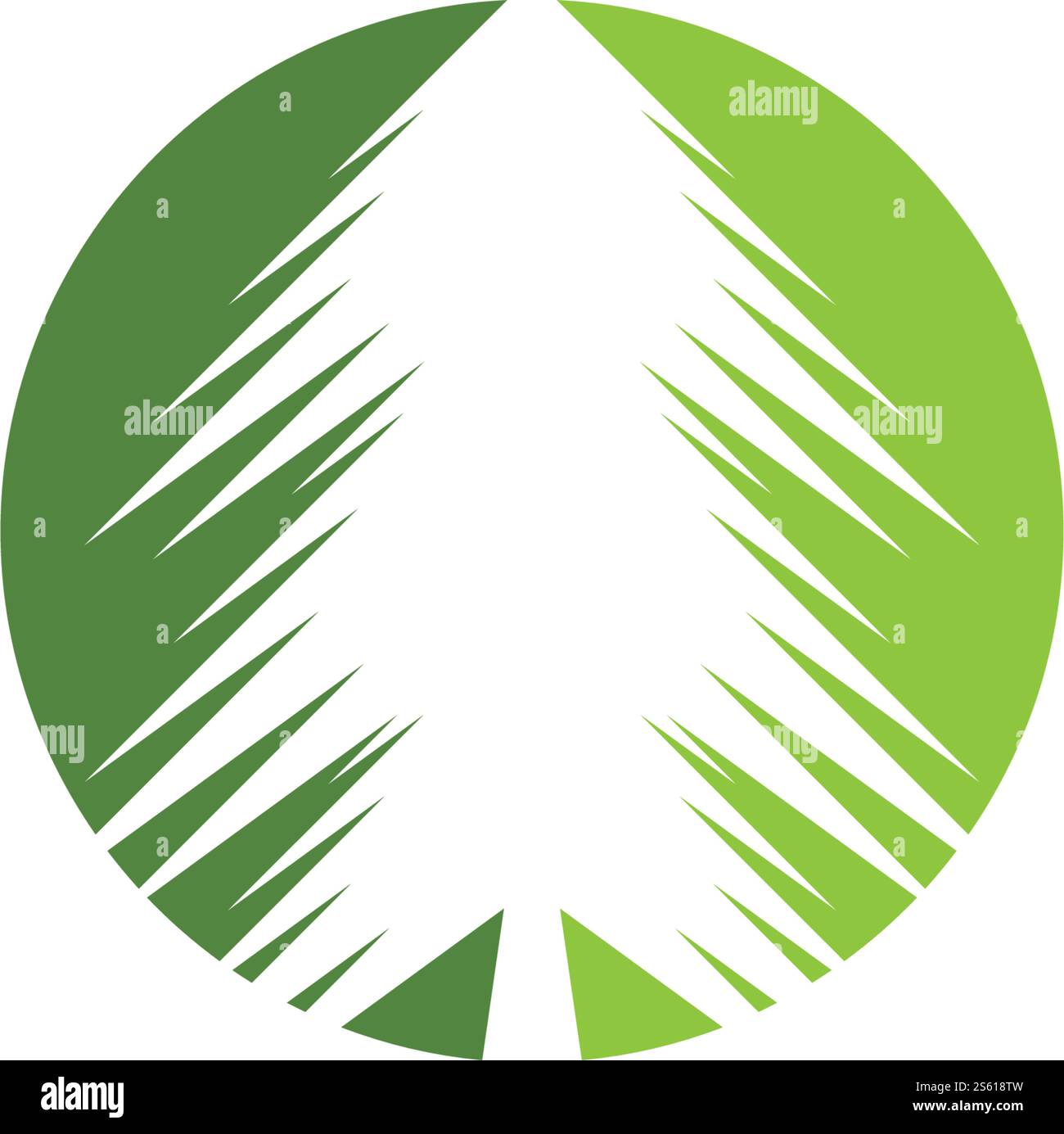 Pine tree logo ilustration vector design Stock Vector