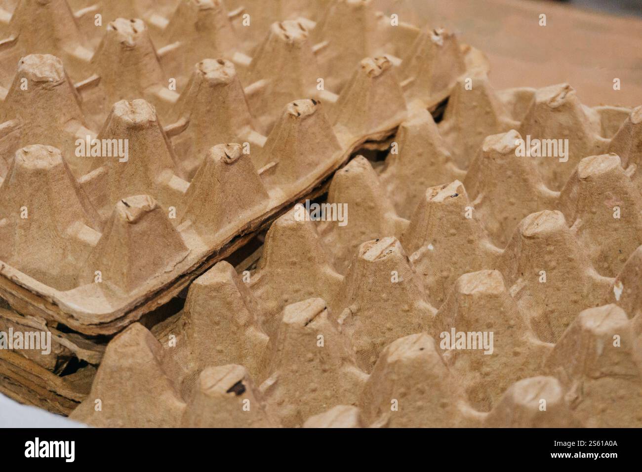 eco-friendly egg pulp board. egg storage and transportation mold Stock Photo