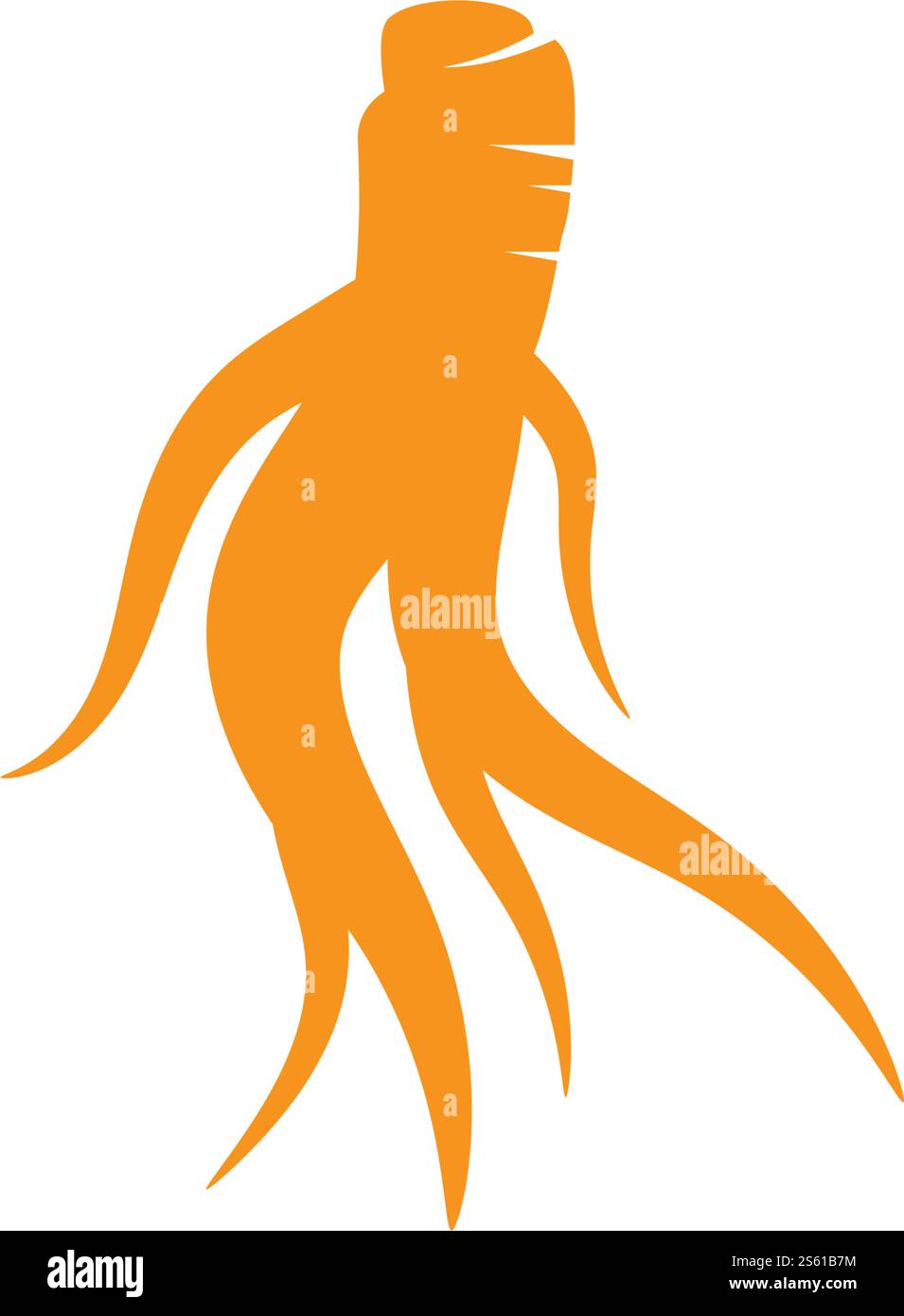 Ginseng logo illustration vector template Stock Vector