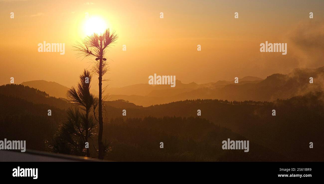 Lost in the golden fog, where the sun gently kisses the mountains and nature in whispers. - Smartphone Captured Stock Image