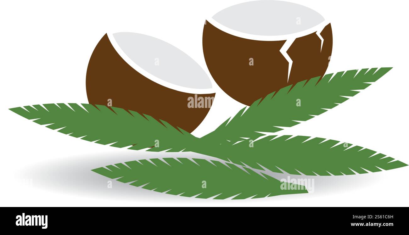 Coconut fruits vector ilustration design Stock Vector