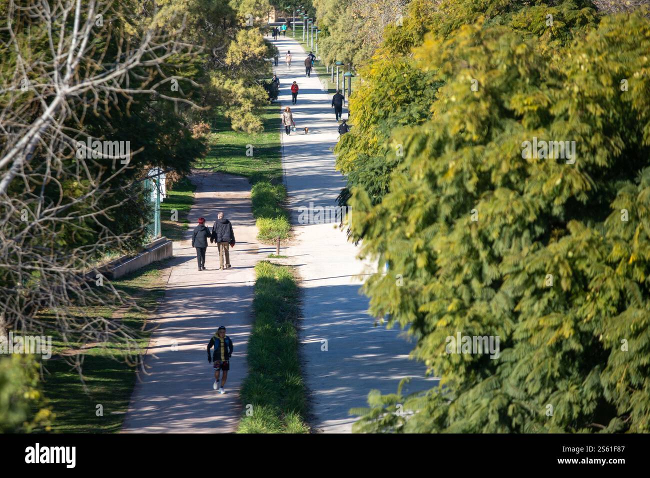 Valencia, Spain, January 15, 2025. People in Turia grden, The Turia Garden in Valencia is approximately 9 kilometers long and covers an area of around 110 hectares, making it one of the largest urban parks in Spain This year Forbes magazine has declared Valencia the best city in the world to retire. Credit: Eduard Ripoll. Stock Photo