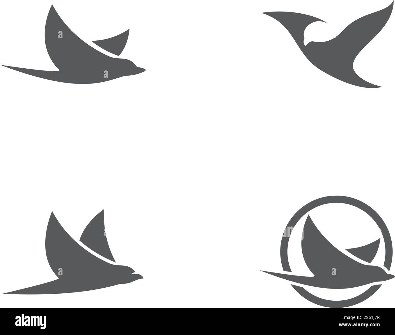 Bird Logo Template vector illustration Stock Vector Image & Art - Alamy