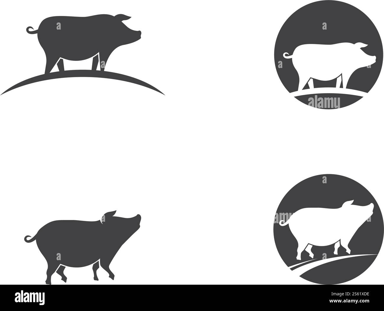 Pig logo illustration vector flat design Stock Vector Image & Art - Alamy