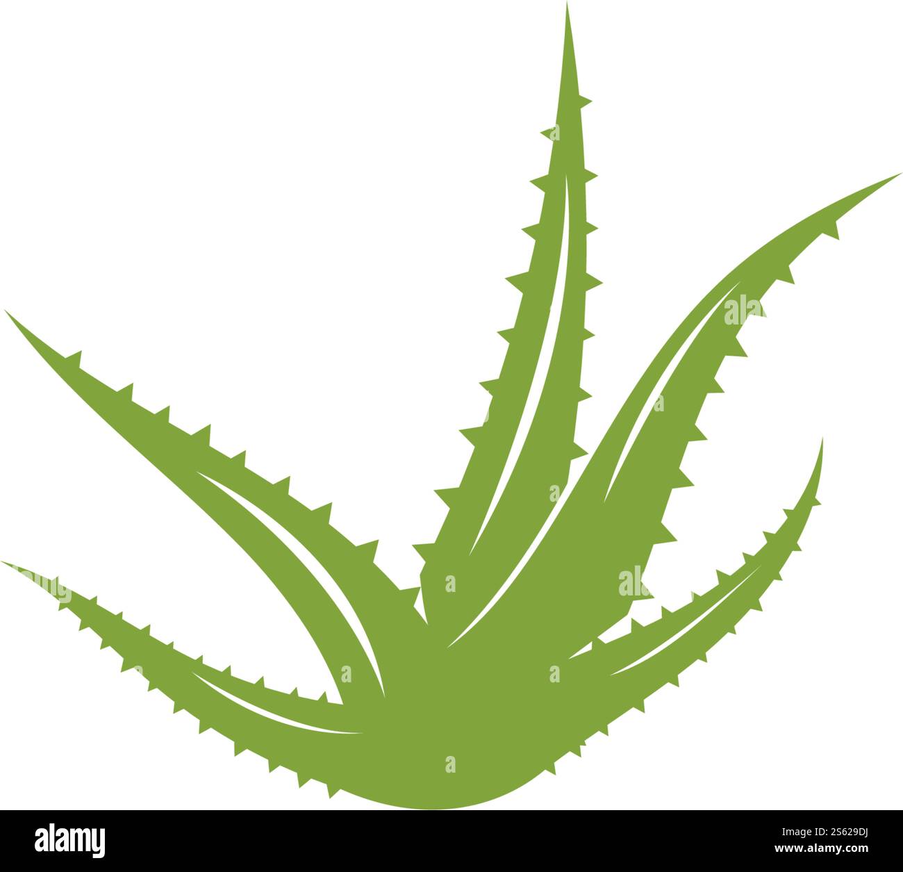 Aloe vera logo vector ilustration template Stock Vector