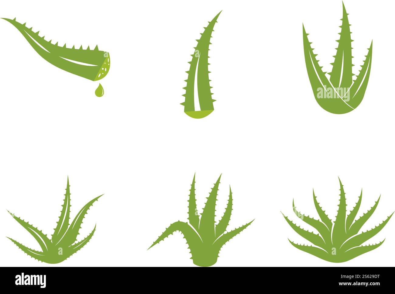 Aloe vera logo vector ilustration template Stock Vector