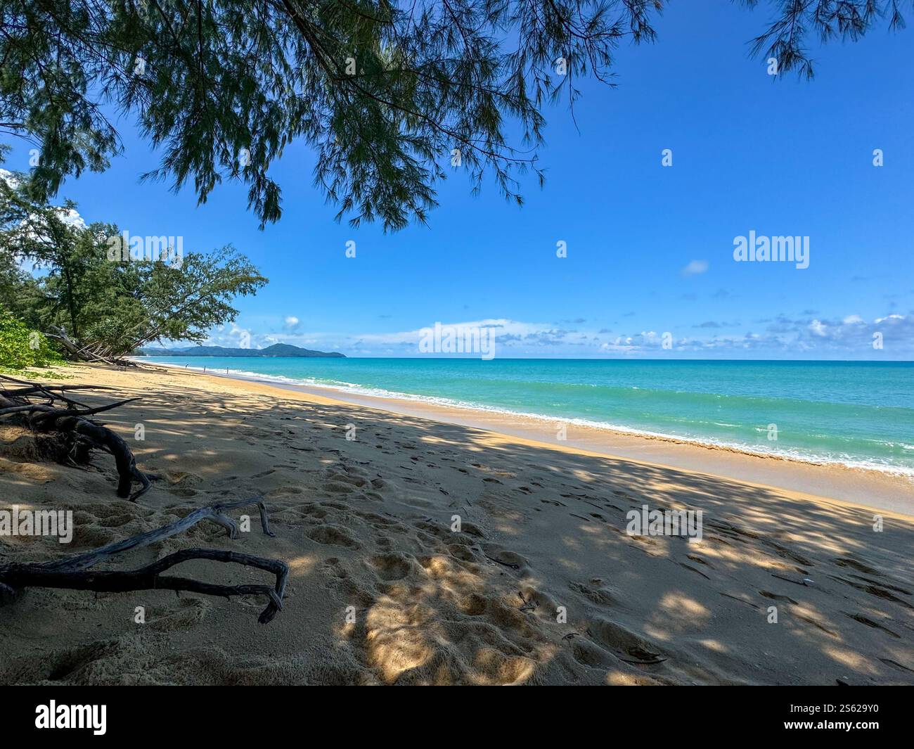 Deserted beach in Thailand with blue sky and overhanging trees - Smartphone Captured Stock Image