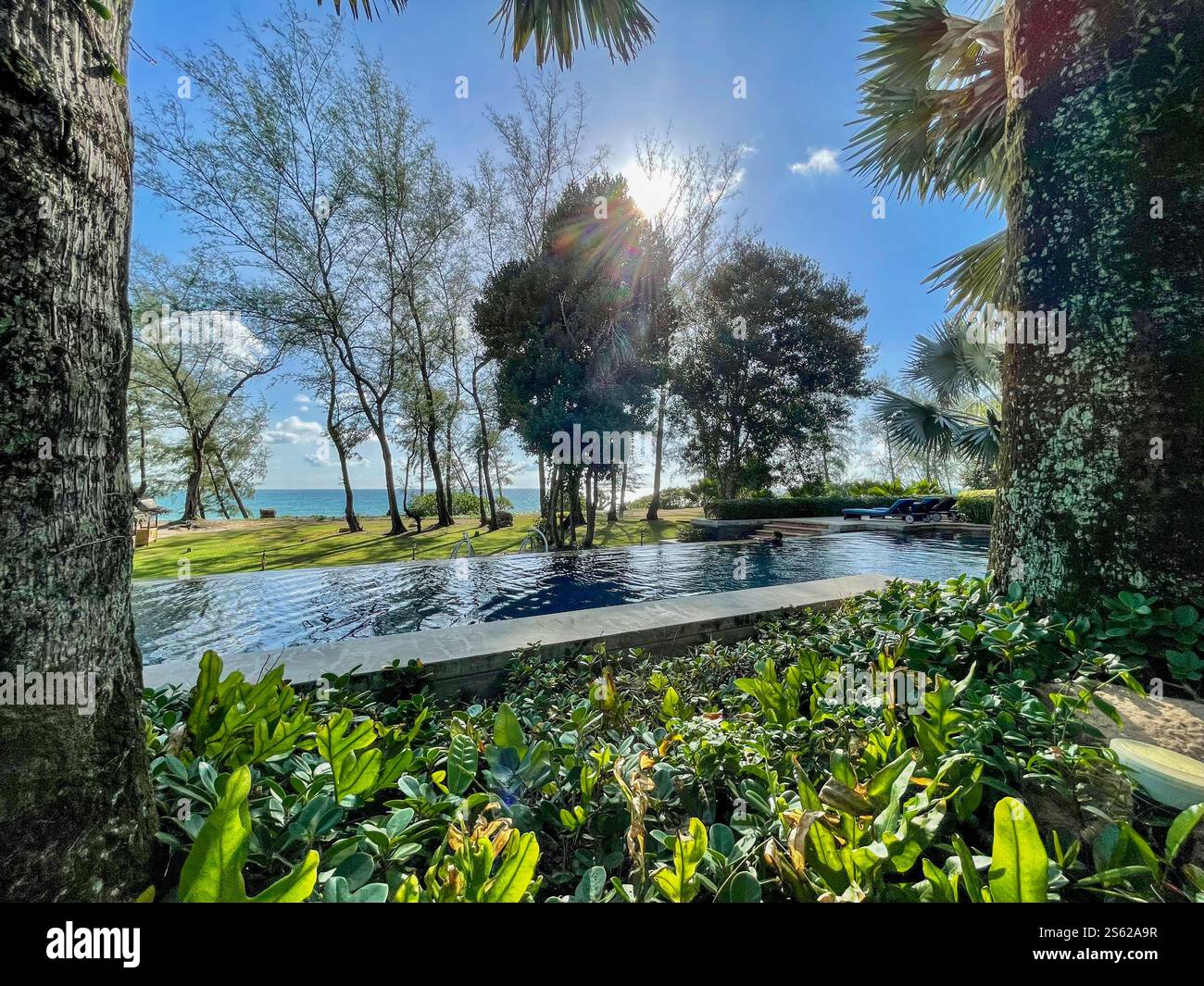 View over pool towards the sea, blue sky, smaal clouds and trees - Smartphone Captured Stock Image