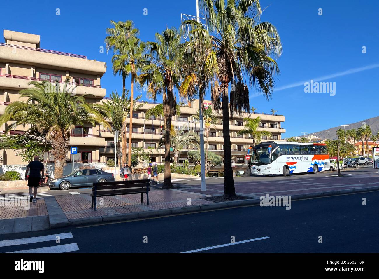 Palm Trees outside the GF Fanabe Four Star Hotel, as well as a Transalex Bus. Costa Adeje, Tenerife, Canary Islands, Spain. 11th January 2025. - Smartphone Captured Stock Image