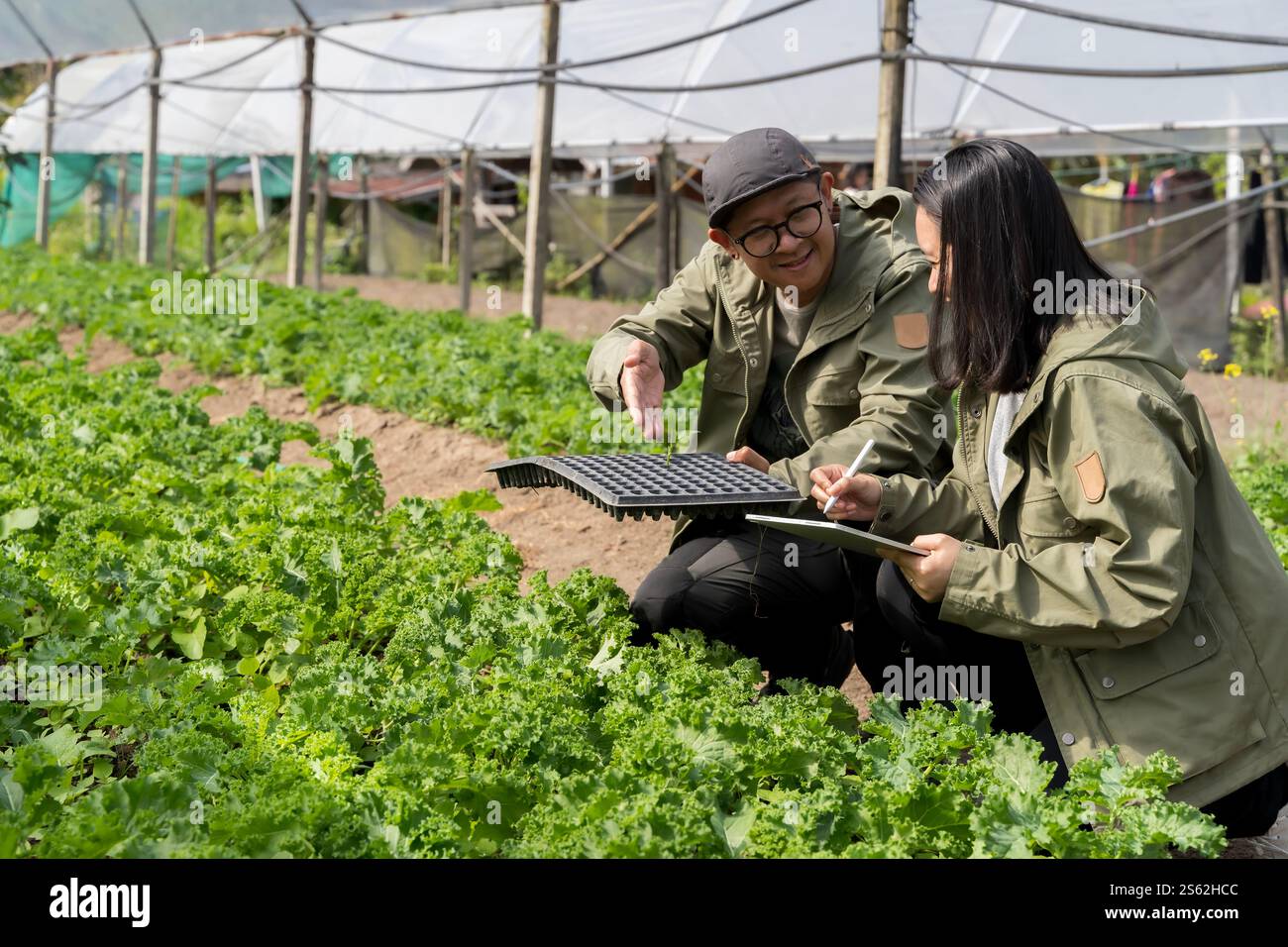 Community garden greenhouse hi-res stock photography and images - Alamy