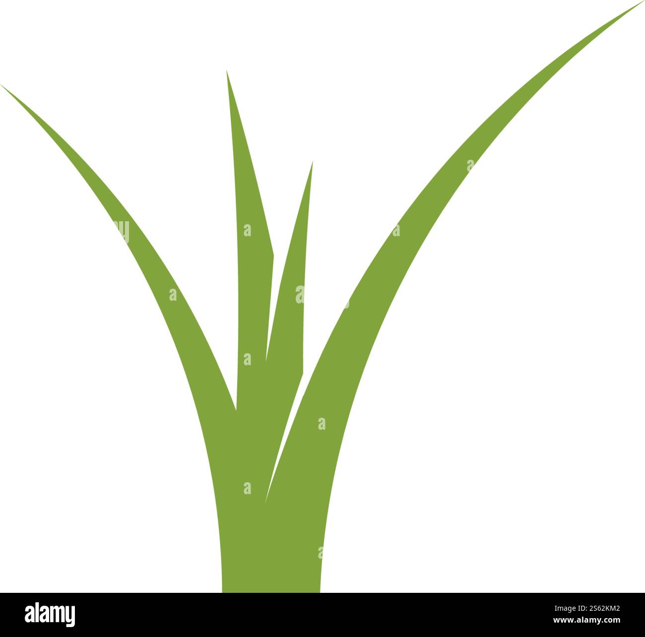 Natural Grass ilustration logo vector design Stock Vector