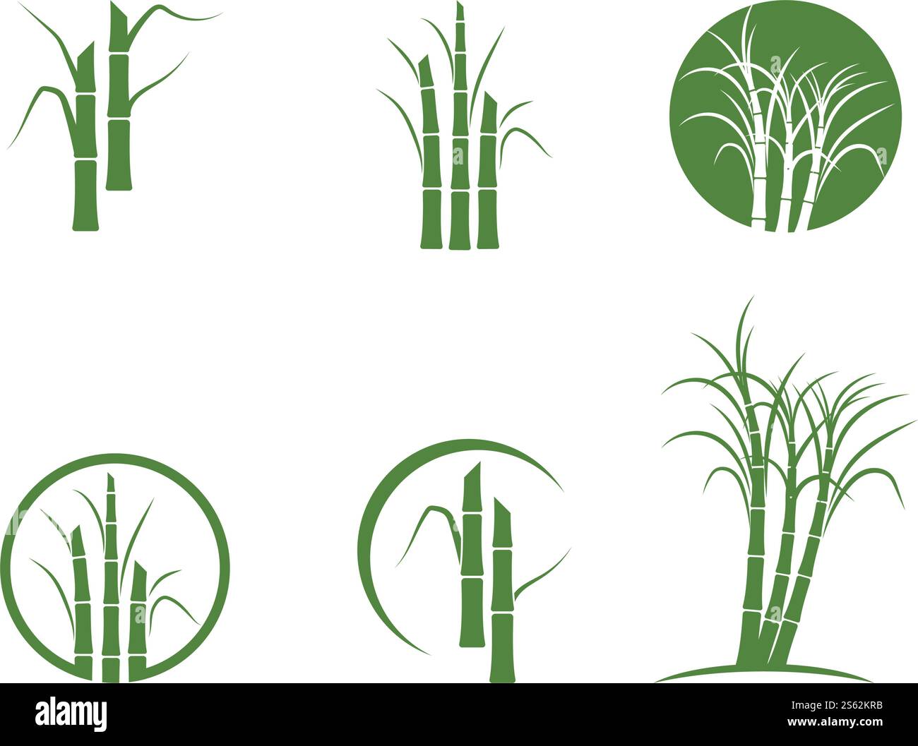 Sugar cane tree logo vector illustration design Stock Vector Image ...