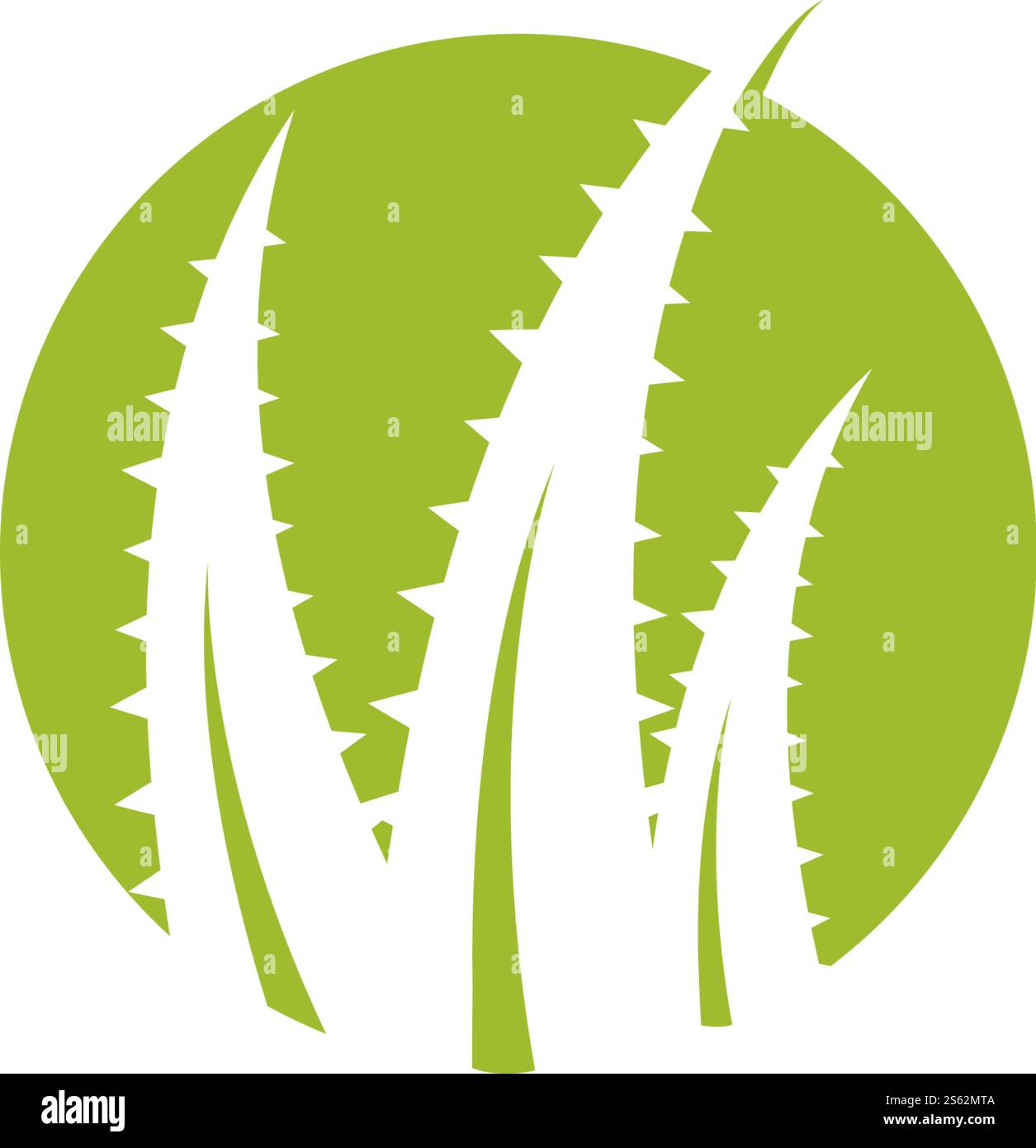 Aloe vera logo vector ilustration template Stock Vector