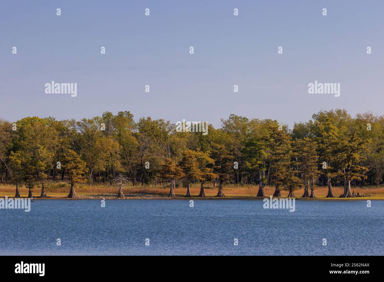 Along the shores of Fort Gibson Lake at Sequoyah State Park in Hulbert ...