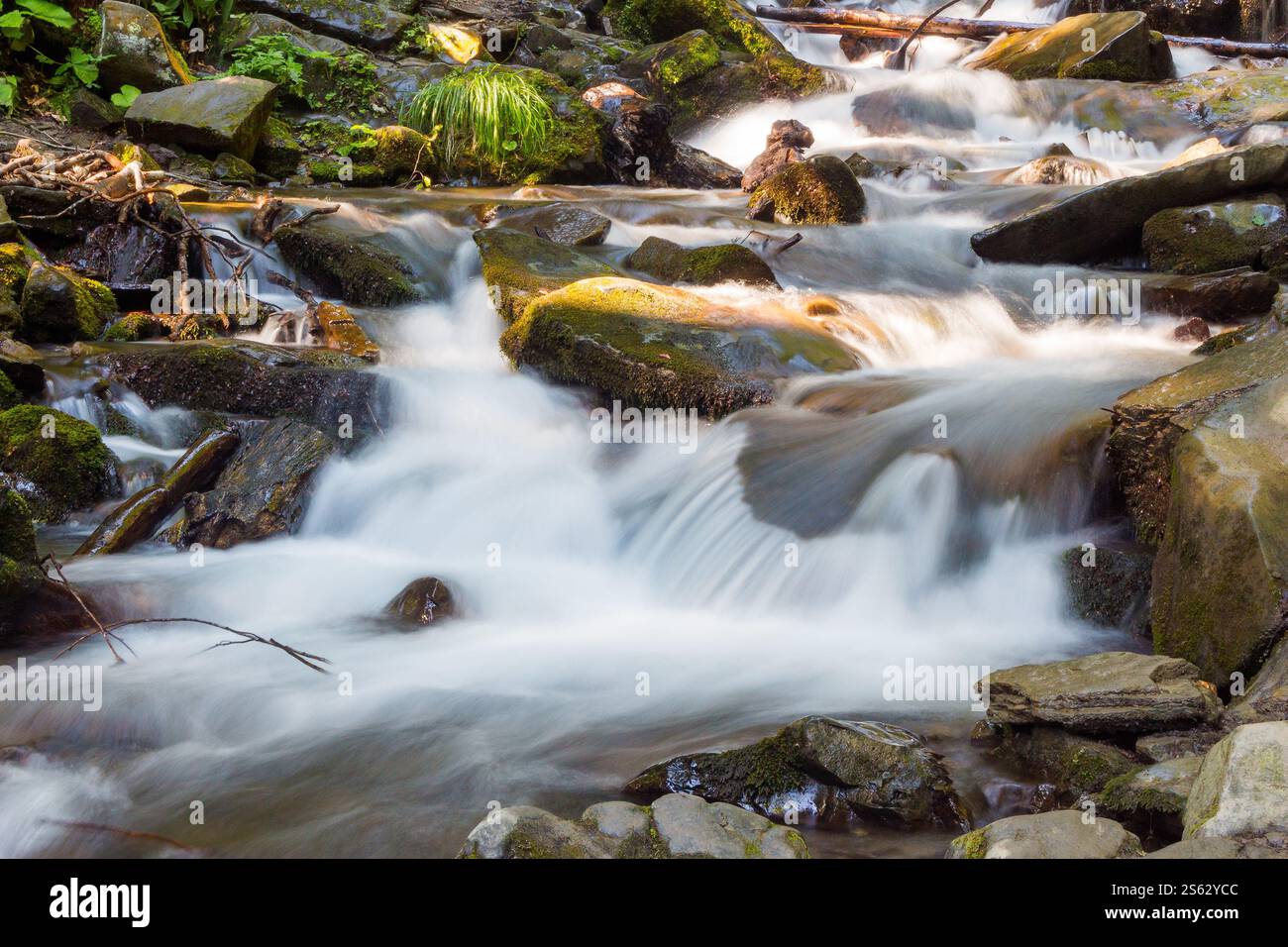 water flow of shypit stream. creek splash. summer nature scenery in dappled light. closeup view of refreshing outdoor background. ecology day Stock Photo