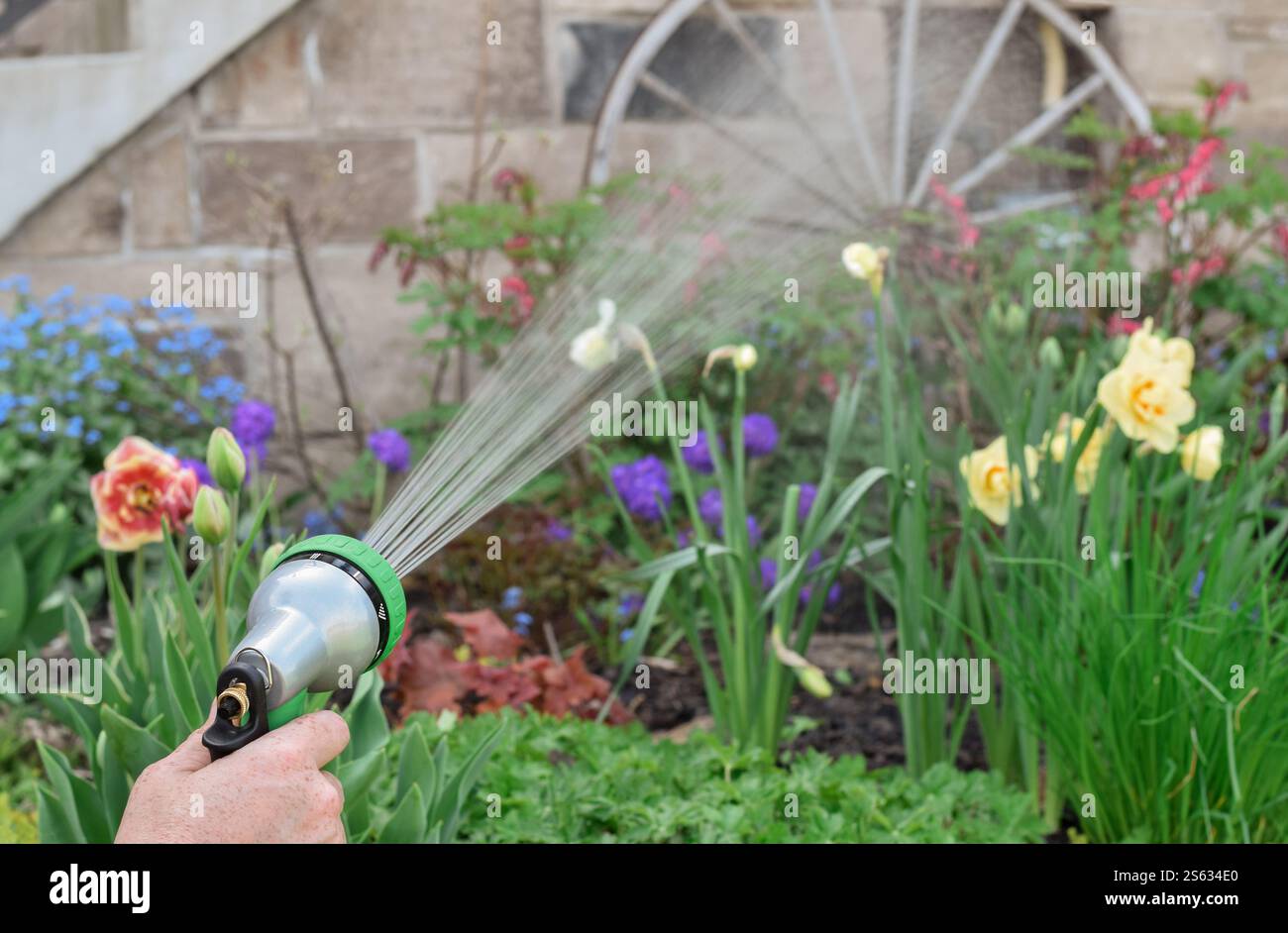 Border summer hose watering hi-res stock photography and images - Alamy