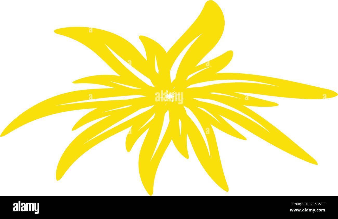 Edelweiss drawing hi-res stock photography and images - Alamy, image size:1300x842