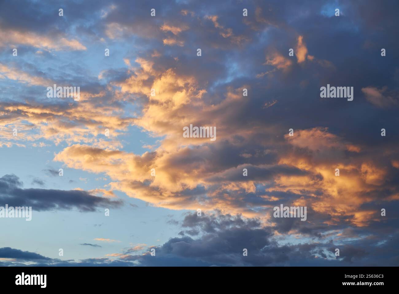Panorama sunset sky for background or sunrise sky and cloud at morning ...