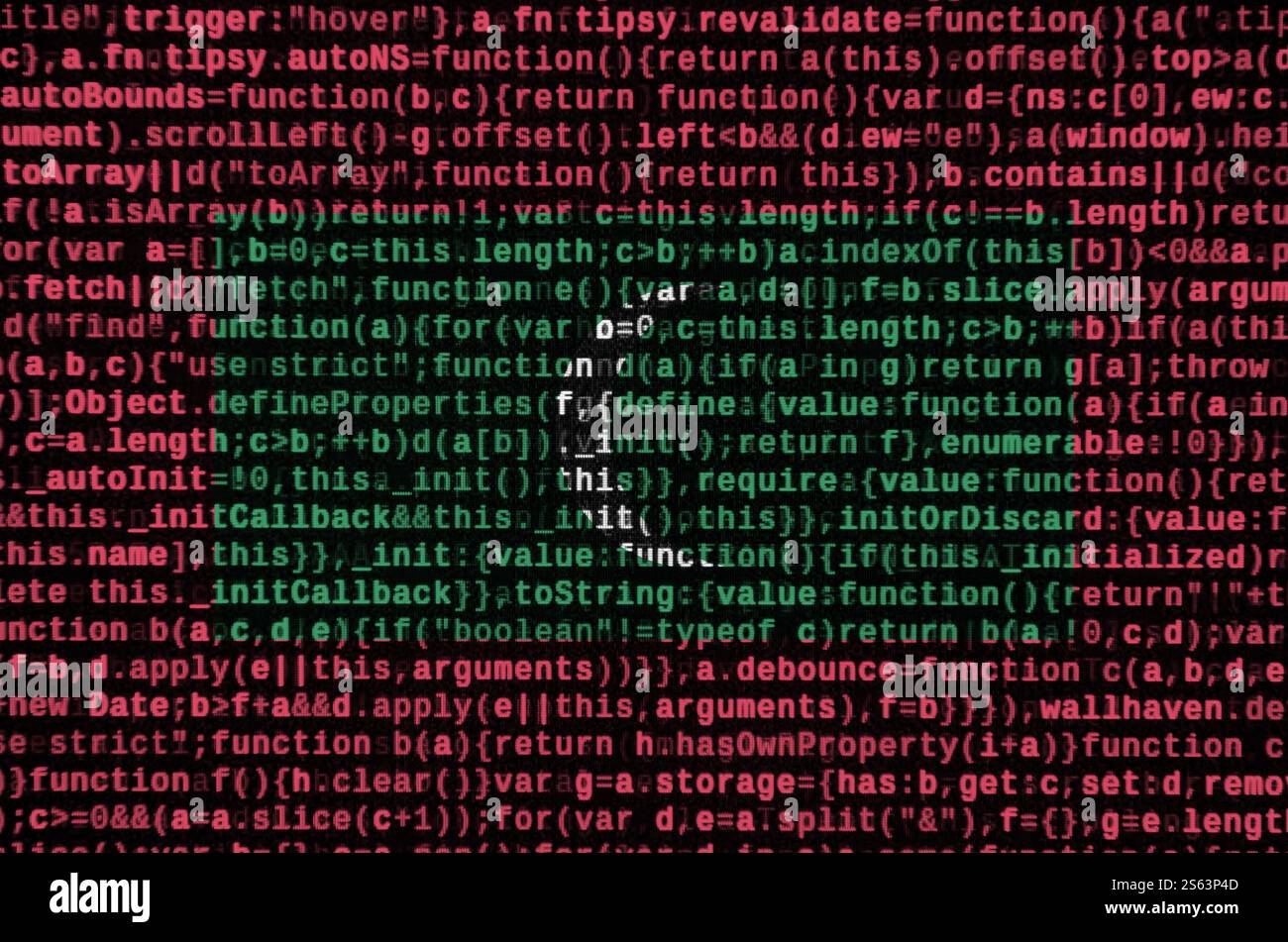 Maldives flag is depicted on the screen with the program code. The concept of modern technology and site development. Maldives flag is depicted on Stock Photo